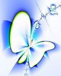 pic for butterfly k750i